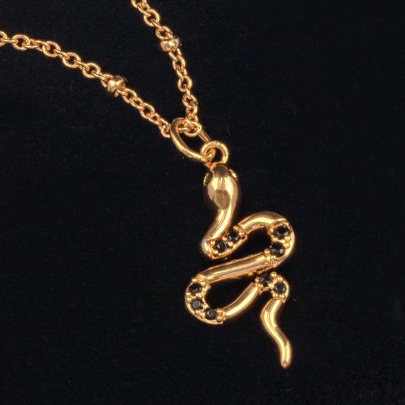 Snake Necklace, Reputation Taylor Swift Eras inspired look - Picture 1 of 5